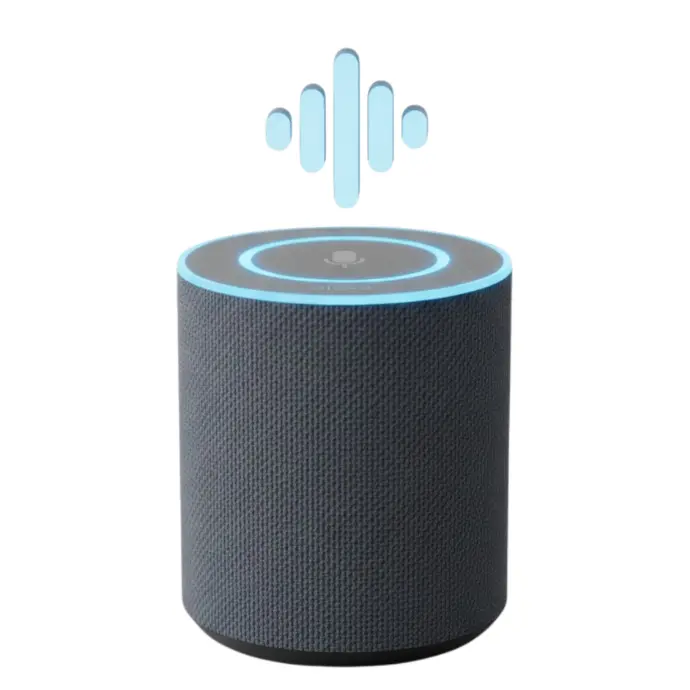 Commande vocale personnalisée installation domotique maroc Domoclick