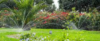 domoclick.ma jardin arrosage automatique Maroc économie d’eau